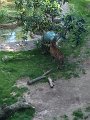 Kids_DFWzoo_3-2016 (128)